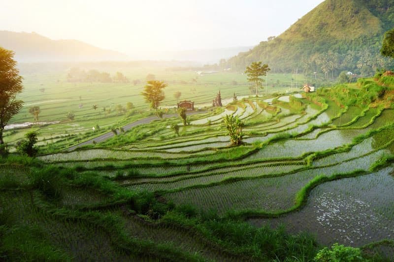 Bali Ubud