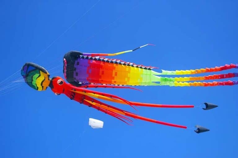Img colorful kites sanur bali