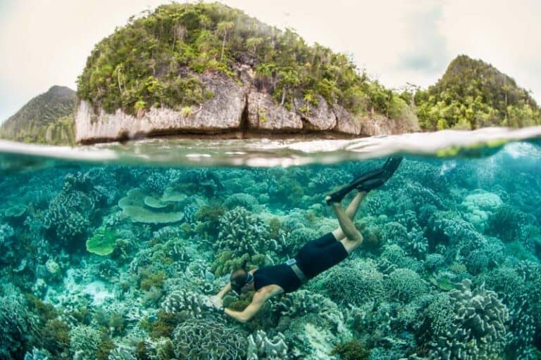 Img diver explores coral reef raja ampat