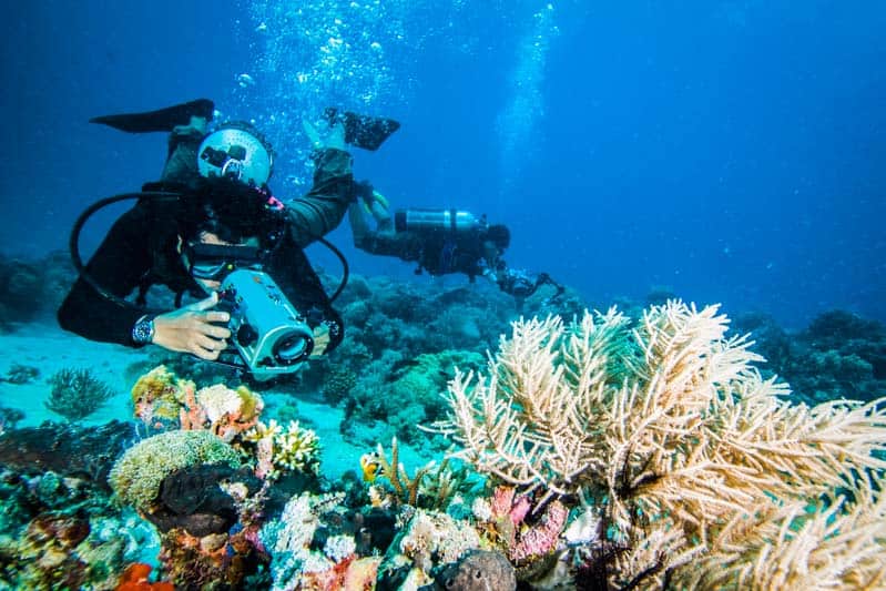 Img Diver Take Photo Kapoposang Scuba