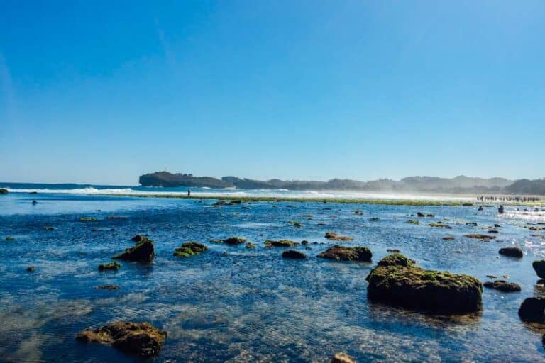 Img gunung kidul beach