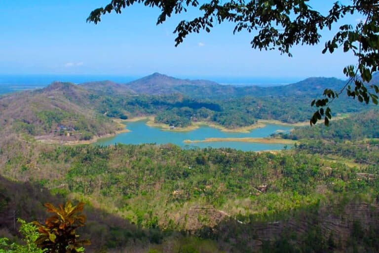 Img Kalibiru National Park