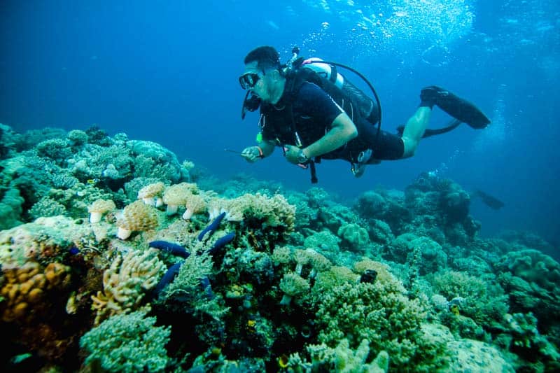 Img Scuba Diving Kapoposang Sulawesi