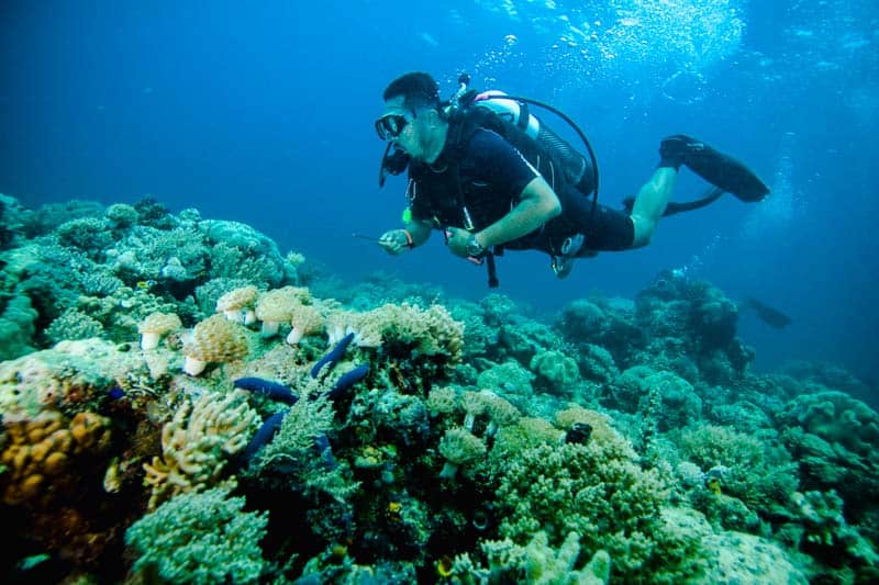 Img scuba diving kapoposang sulawesi