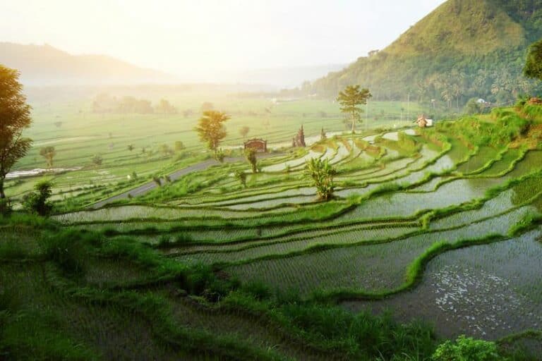 Img ubud 01