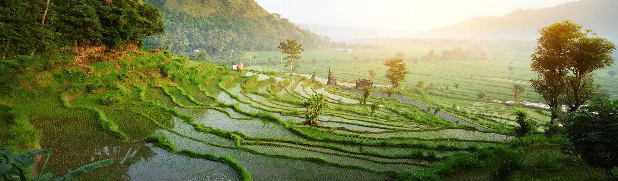 Img ubud hero 01