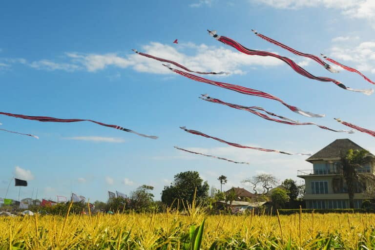 Kite Festival